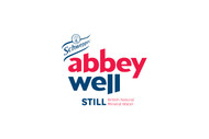Abbey Well
